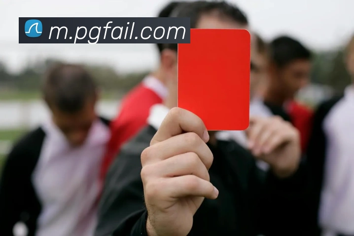 pg模拟器发展历程